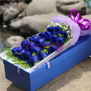 浩仪鲜花速递11朵19朵33朵红玫瑰花束礼盒同城重庆北京上海 19蓝玫瑰