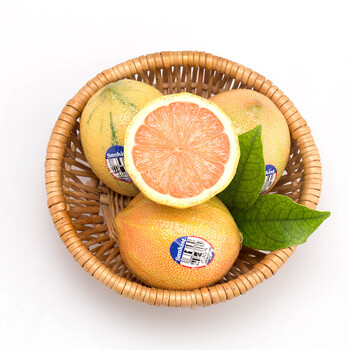 新奇士sunkist 美国进口斑马粉色柠檬 4个装 单果重约55-80g 新鲜水果