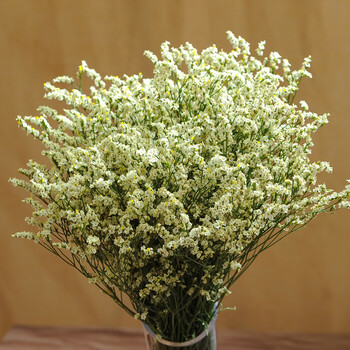 白色满天星干花花束大束家居客厅摆件水晶草勿忘我情人草带花瓶 黄色