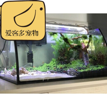 小型創意魚缸 生態魚缸水族箱 迷你水草造景魚缸 金魚 熱帶魚魚缸 大