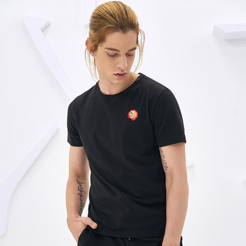 七匹狼旗下圣沃斯短袖男士夏季t恤圆领打底衫半袖衣服宽松体恤男装