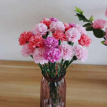 纸藤花皱纹纸diy礼物节日礼品母教师节儿童手工 康乃馨材料包 如图3色