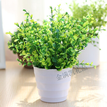 仿真绿色植物尤加利叶盆栽盆景家居客厅茶几摆设摆件套装 白盆 小叶