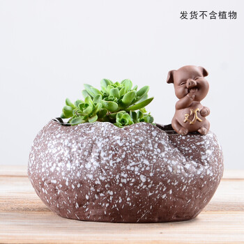 2017新品,陶瓷多肉花盆紫砂創意多肉植物茶寵小和尚綠植盆栽粗陶簡約