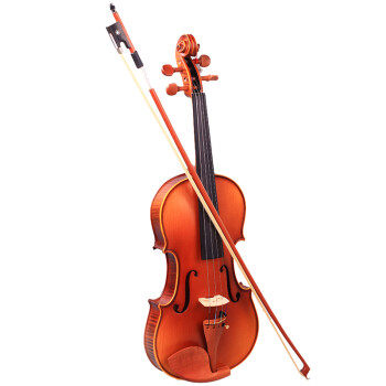 RL小提琴成人儿童初学小提琴演奏级花纹小提