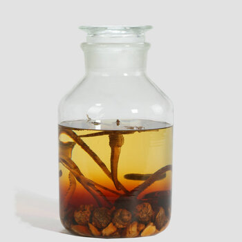 加厚无铅玻璃泡酒瓶 高硼硅耐热油壶 带刻度人参酒瓶 广口磨砂药酒瓶 密封浸泡酒罐 泡酒坛 20斤空单瓶