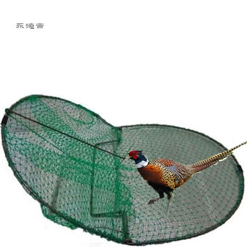 专用捕野鸡网50米图片
