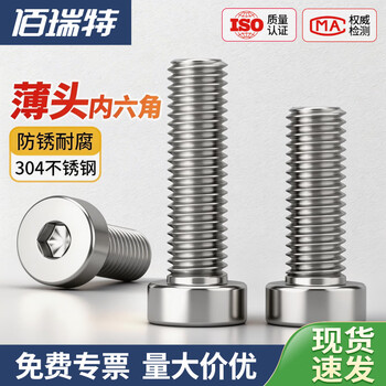 佰瑞特（bairuite）304不锈钢薄头内六角螺丝钉加长矮头螺栓DIN7984扁平头圆柱头螺钉 M2.5*25【100粒】