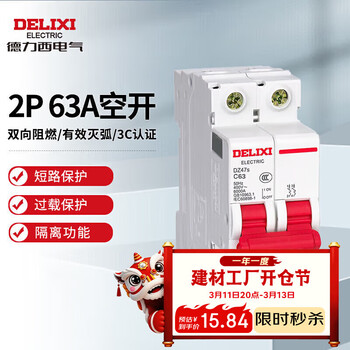 德力西电气空开微型断路器空气开关家用DZ47s 2P 63A