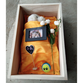 宠物用品宠物棺材狗狗猫咪实木小棺材骨灰盒刻字名字留言 白色 猫用买