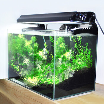 鱼缸水族箱迷你超白水草鱼缸生态小型热带观赏鱼缸60x30x36cm 6mm 超