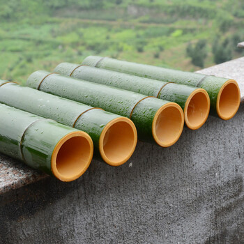 野生新鲜毛竹筒楠竹筒 两端带结内部密封 适合野外烧竹筒饭 小号直径6