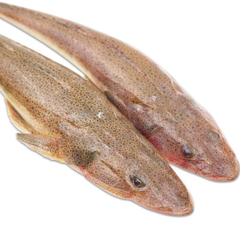 博多客 新鲜辫子鱼 狗腿鱼 拐子鱼 海鱼 连云港特产鱼 1kg