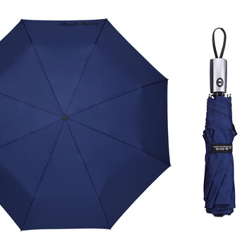雨伞大号全自动开收折叠伞男士晴雨两用女简约双人男加大自开自收 八