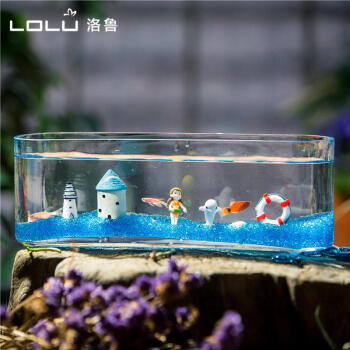 洛鲁玻璃鱼缸小型创意桌面生态金鱼缸水培长方形迷你办公桌造景水族箱 小号海底世界套餐