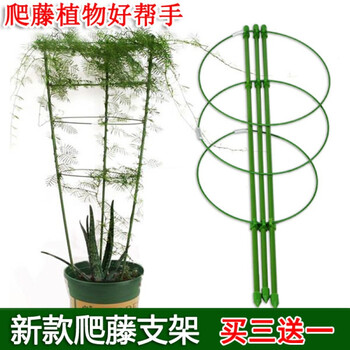 唯友 Weiyou 园艺花支架家用爬藤架室内盆栽植物绿萝固定铁环花架月季花支柱花支架高1厘米 买三送一 中等 图片价格品牌报价 京东