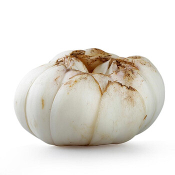 新鲜百合 鲜百合 兰州百合 兰州鲜百合 500g