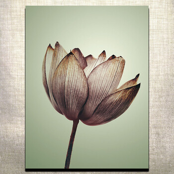 美式装饰画客厅沙发背景墙三联画现代卧室挂画创意花卉无框画a 10 30*