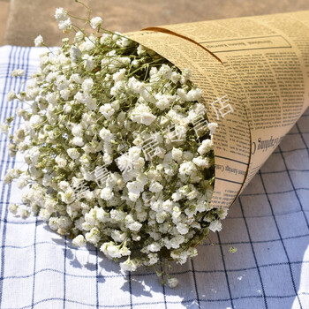 【原生】白色满天星 干树枝