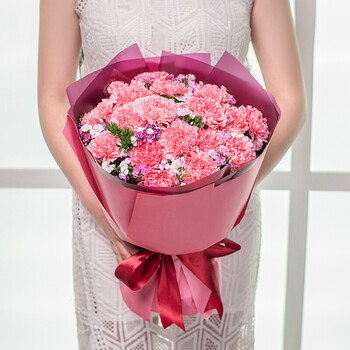 节日礼物鲜花办公室用鲜花上海速递送老师妈妈 b款-19朵康乃馨花束