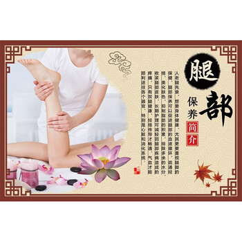 腿部保养 50x70 厘米