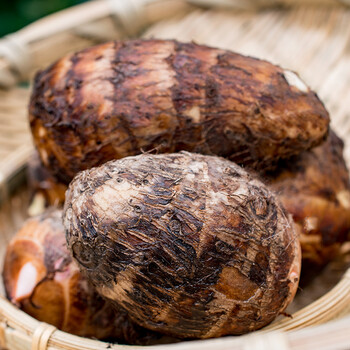 农家自种现挖香芋粉糯小芋头仔正宗临安芋艿子 5斤