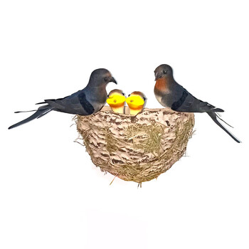 燕子窝鸟巢屋檐户外燕巢人造仿真燕窝小燕子鸟窝 燕子 幼燕 一个窝 窝