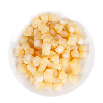 宁波特产 干贝 扇贝干 丁瑶柱 江瑶柱 干贝壳肉 水产干货 250g