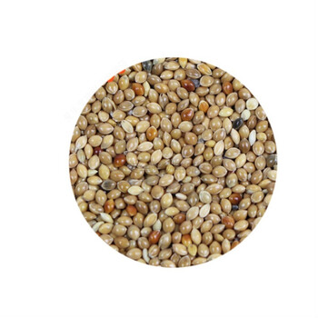 黄黍子带壳大黄米仓鼠鹦鹉文鸟珍珠鸟粮鸽粮鸟饲料5斤