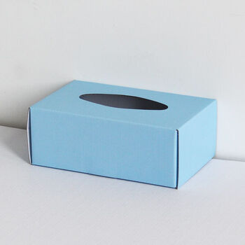 纸质餐巾纸盒 家用桌面简约牛皮纸纸巾盒 天蓝色 覆膜防水