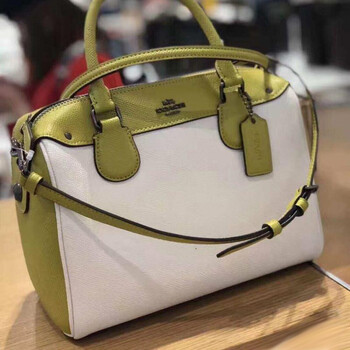 2018新款蔻驰女包代购新款小蜜蜂波士顿单肩包水桶包枕头包 荧光绿 白