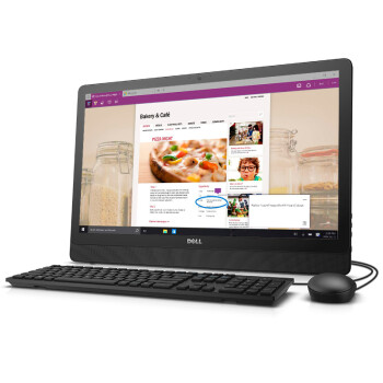 戴尔（DELL）Inspiron 3455-R1448 灵越23.8英寸一体机电脑 （A6-7310 4G 500G WIFI 蓝牙 WIN8.1 3年上门）