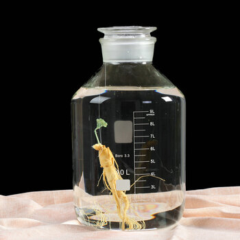 加厚无铅玻璃泡酒瓶 高硼硅耐热油壶 带刻度人参酒瓶 广口磨砂药酒瓶 密封浸泡酒罐 泡酒坛 20斤空单瓶