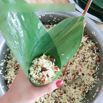 盛马 新鲜大粽叶包粽子的粽子叶箬叶棕叶 100张