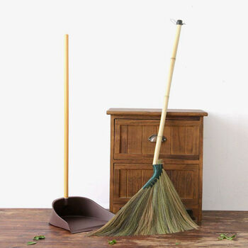 阿斯卡利(ascari) 芒草扫把簸箕套装家用软毛扫帚簸箕组合扫地笤帚 青