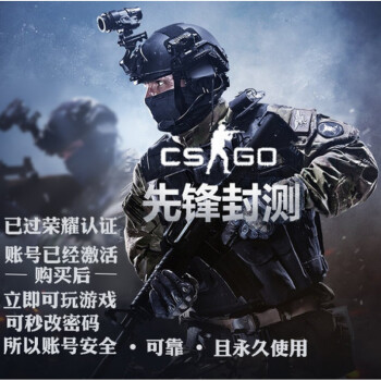 steam正版 反恐精英:攻勢cs:go csgo 激活碼key聯網 cdk 其他