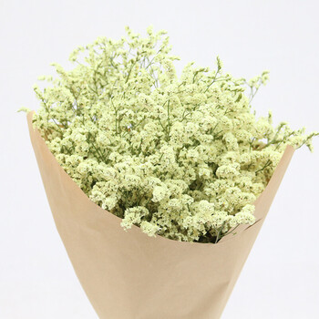 粉色白色满天星干花花束家居摆设客厅插花装饰小清新勿忘我水晶草