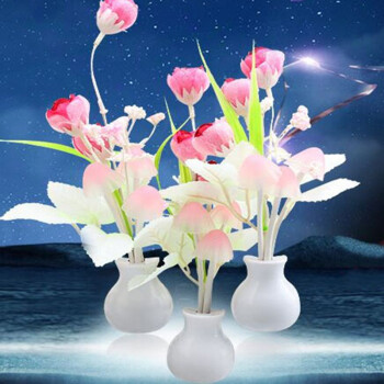 
                                        春笑 CX-MG20节能光控感应玫瑰小夜灯 喂奶灯 LED小夜灯 混色随机发货                