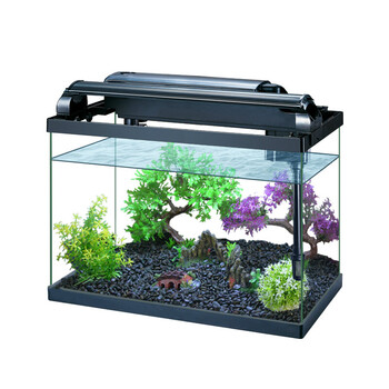 创意庭院庭院家居装饰欧式水族礼物玻璃鱼缸水族长方形换水乔迁工艺品