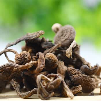 (满20减5)野生榛蘑 东北小鸡炖蘑菇 无根免摘大兴安岭特产250g
