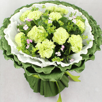 店速递康乃馨鲜花花束送长辈老师清河区同城配送花 o款11朵绿康绿包装