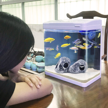 闽江金钻鱼缸水族箱迷你生态金鱼缸玻璃造景小型鱼缸龟缸 238单缸_ 2