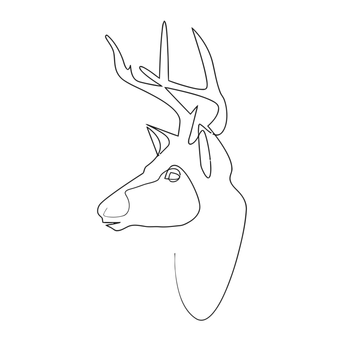 简约拍照背景墙挂画卧室黑白抽象人物线条ins客厅装饰画0821 白边款9