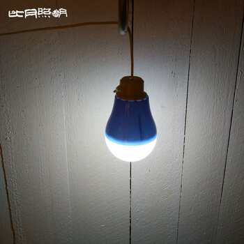 比月 led灯泡E27螺口4W暖光超亮球泡灯USB照明户外野营光源带线插头声控小夜灯 珍珠紫