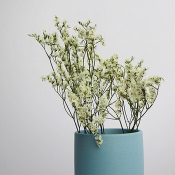 越龙兴 花瓶插花 干花兔尾巴水晶草小雏菊花艺 家居软装饰拍摄道具