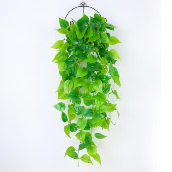 假花藤条树叶仿真绿萝塑料花藤蔓室内吊篮植物壁挂装饰绿植 尖角绿萝1