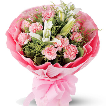 三月情教师节康乃馨鲜花百合花束礼盒预定送妈妈长辈老师北京上海广州花店送花全国同城配送坚定之爱 康乃馨百合花束 图片价格品牌报价 京东