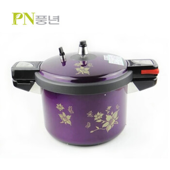 韩国PN枫年 紫色风景2件套装 进口不粘压力锅 高压锅 4.5L 蒸锅汤锅PGVPC 锅具