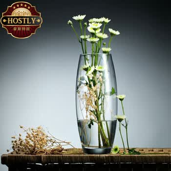 豪斯特丽 Hostly 透明玻璃花瓶大号富贵竹百合水培插花花器欧式花瓶土耳其进口圆形花瓶高26cm 图片价格品牌报价 京东