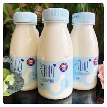 新希望南山初心风味发酵乳245g低温原味酸奶整箱冷藏发货 15瓶 佛手味